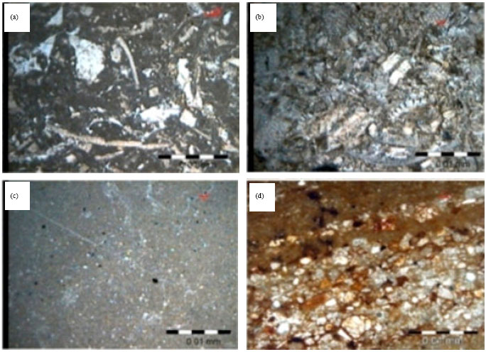 Image for - Depositional Environment Interpretation of Lar Formation (Upper Jurassic)  Based on Study of Clay Mineralogy and Microfacies in East Azarbaijan (North  Western of Iran)