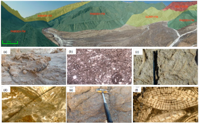 Image for - Depositional Evolution and Sediment Facies Pattern of the Tertiary Basin in Southern Zagros, South Iran