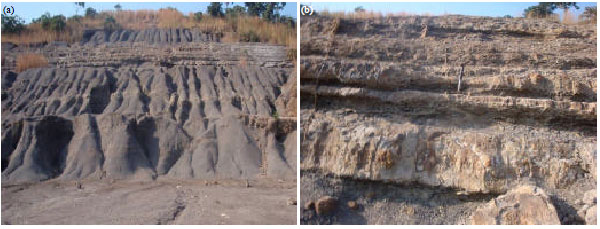 Image for - Ichnology of the Enugu Formation: Implications for Campanian Sea Movements  in Southeastern Nigeria