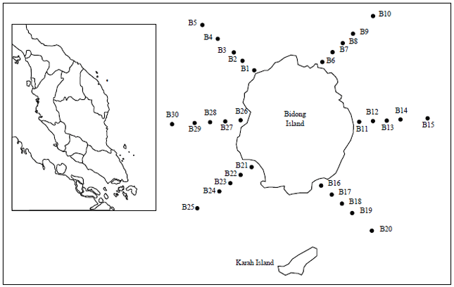 Image for - Heavy Metals Concentration in Surficial Sediments of Bidong Island, South China Sea off the East Coast of Peninsular Malaysia