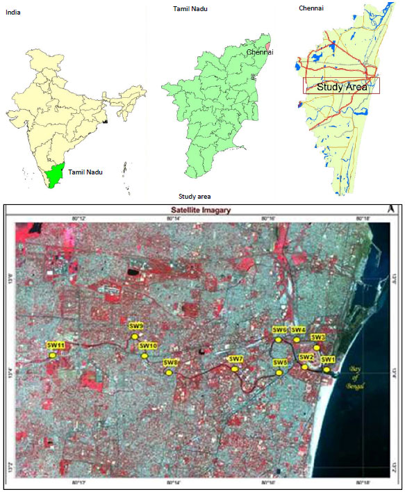 Image for - Assessment of Seasonal Disparity on Hydrogeochemical Facies Distribution in Cooum River, India