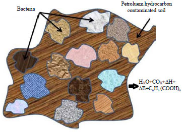 Image for - Geoelectrical Characterization of Matured PetroleumHydrocarbon Impacted Soil in Port Harcourt, Nigeria