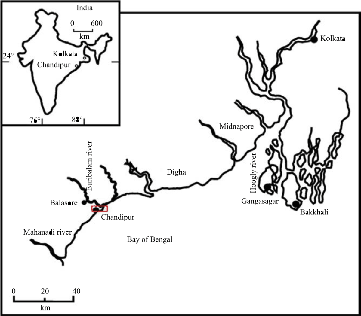 Image for - Foraminiferal Assemblages from Recent Coastal Sediments of Chandipur, East Coast India
