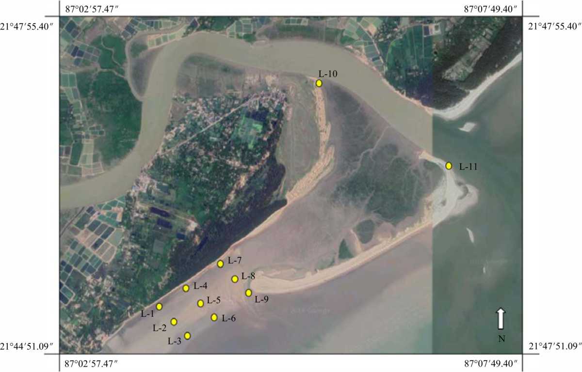 Image for - Quantitative Analysis and Characterization of Grain Size Distribution-Study from Recent Coastal Sediments of Chandipur, East Coast India