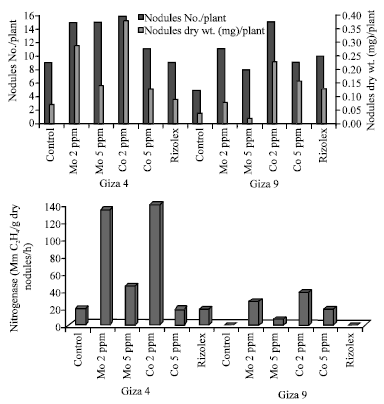 Image for - Efficiency of Molybdenum and Cobalt Elements on the Lentil Pathogens and Nitrogen Fixation