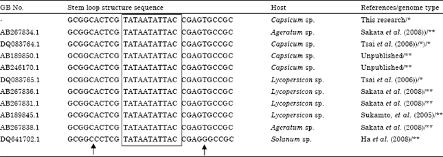 Image for - Complete Nucleotide Sequence of DNA A-like Genome and DNA-β of Monopartite Pepper Yellow Leaf Curl Virus, A Dominant Begomovirus Infecting Capsicum annuum in West Sumatera Indonesia