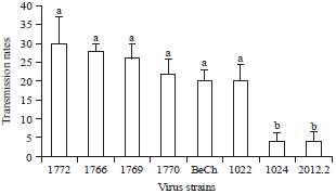 Image for - Transmission Efficiency of Cucumber Mosaic Virus by Myzuspersicae According to Virus Strain and Aphid Clone from China