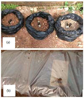 Image for - Control of Soil-borne Pathogens by Soil Fumigation with Paraformaldehyde (Fogidesfarm) as Alternative to Methyl Bromide