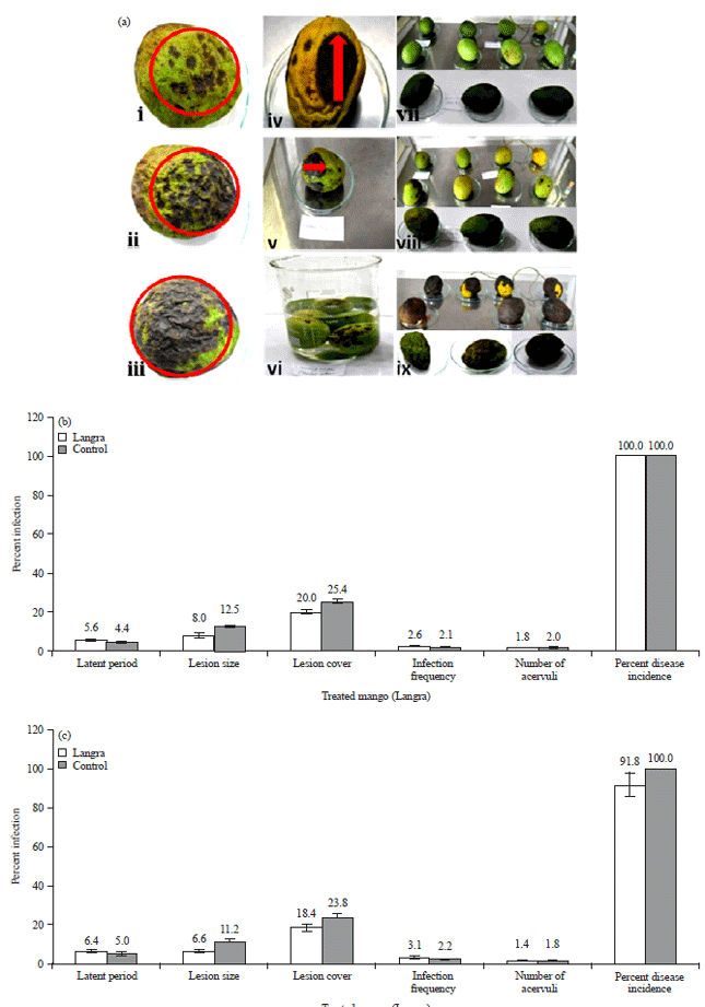 Image for - Effectiveness of Selected Homeopathic Medicines Against Colletotrichum gloeosporioides