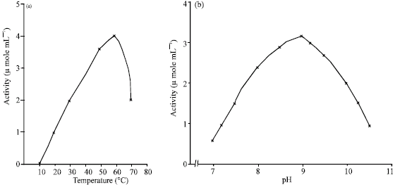 Image for - Purification and Characterization of Fruit Bat (Eidolon helvum, Kerr) Liver Arginase