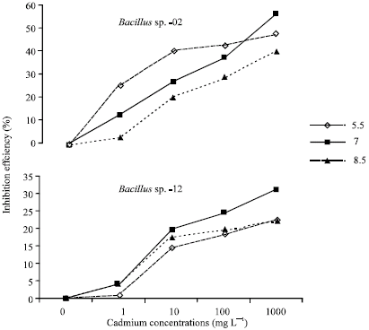 Image for - Influence of pH on Cadmium Toxicity To Bacillus Species (02 and 12) During Biodegradation of Crude Oil