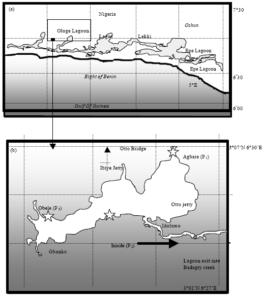 Image for - Spatial and Temporal Variations of Some Heavy Metals in Water, Sediment  and Chrysichthys nigrodigitatus (Lacepède, 1803) from Ologe Lagoon,  Lagos, Nigeria
