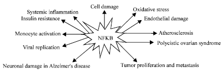 Image for - Revisiting the Pathology of the Nuclear Factor Kappa Beta