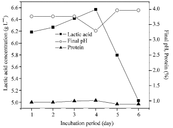 Image for - Enhancement of Lactic Acid Production by Utilizing Liquid Potato Wastes