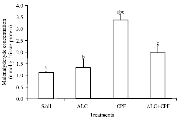 Image for - Protective Effects of Acetyl-L-Carnitine on Subacute Chlorpyrifos-induced Biochemical Changes in Wistar Rats