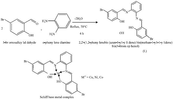 Image for - Biological Activity of Copper (II), Cobalt (II) and Nickel (II) Complexes of Schiff Base Derived from O-phenylenediamine and 5-bromosalicylaldehyde