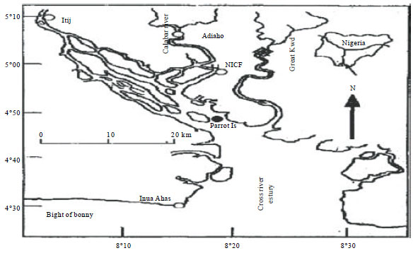 Image for - Physico Chemical Parameters and Phytoplankton Assemblages along Spatial and Temporal Gradients in Great Kwa River, Calabar, Nigeria
