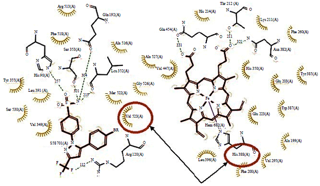 Image for - Molecular Docking Studies of Rhizophora mucronata Alkaloids Against Neuroinflammatory Marker Cyclooxygenase 2