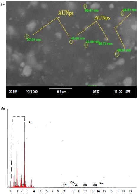Image for - Green Synthesis of Gold Nanoparticles Using Hypericum hookerianum and its Antiparkinson like Effect in Haloperidol Induced Swiss Albino Mice