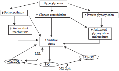 Image for - Oxidative Stress in Diabetes Mellitus