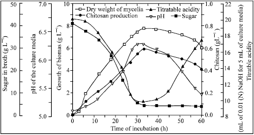 Image for - Kinetics of Mucor rouxii Fermentation in Relation to Chitosan Production