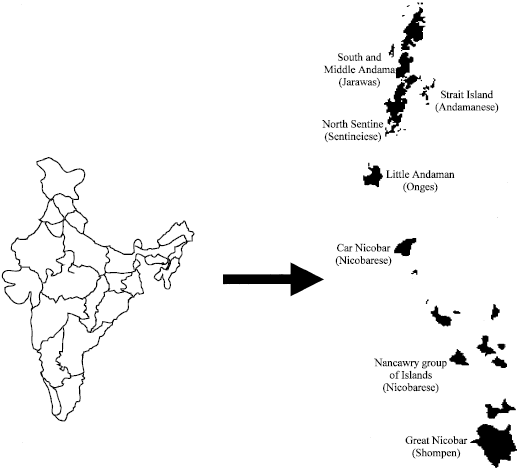 Image for - Seroprevalence of Leptospirosis among Jarwas-a Hunter-gatherer Primitive Negrito Tribe of Andaman and Nicobar Islands, India