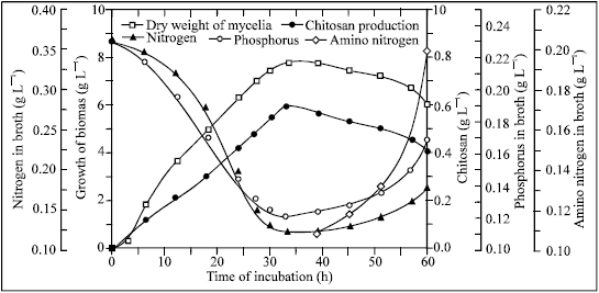 Image for - Kinetics of Mucor rouxii Fermentation in Relation to Chitosan Production