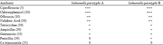 Image for - Isolation and Susceptibility to Antimicrobial Agents of Salmonella paratyphi from Cheese in Khartoum (Sudan)