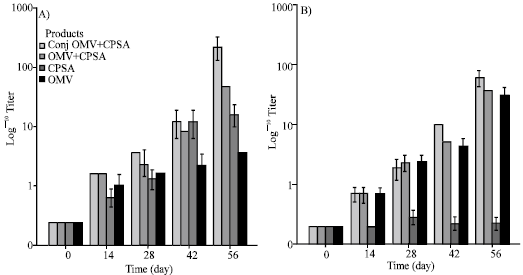 Image for - Evaluation of Serum Bactericidal Activity Specific for Neisseria meningitidis Serogroup A and B: Effect of Immunization with Neisseria meningitidis Serogroup A Polysaccharide and Serogroup B Outer Membrane Vesicle Conjugate as a Bivalent Meningococcus Vaccine Candidate
