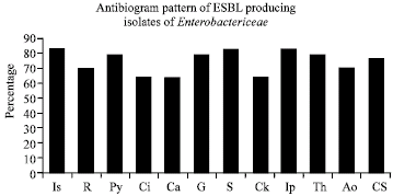 Image for - Prevalence of ESBL Producing Strains in Tuberculosis Patients