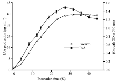 Image for - Optimization of Cultural and Nutritional Conditions for Indole 3-acetic Acid (IAA) Production by a Rhizobium sp. Isolated from Root Nodules of Vigna mungo (L.) Hepper