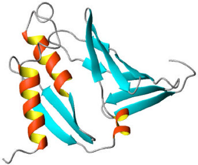Image for - Homology Modeling and Molecular Dynamics Study of the Interactions of SoxY and SoxZ: The Central Player of Biochemical Oxidation of Sulfur Anions in Pseudaminobacter salicylatoxidans