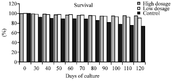 Image for - Effect of Commercial Probiotics on Large Scale Culture of Black Tiger Shrimp Penaeus monodon (Fabricius)