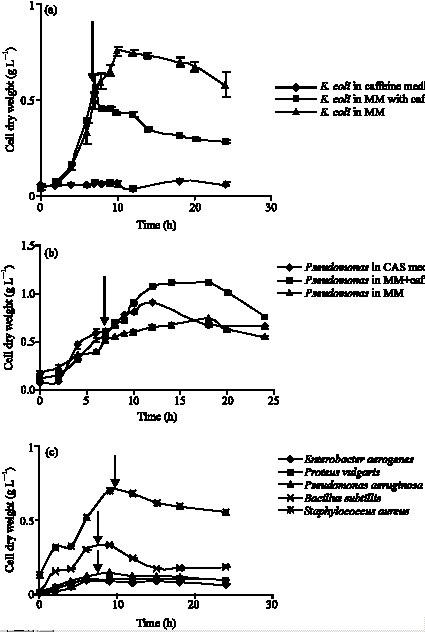 Image for - Inhibitory Effect of Caffeine on Growth of Various Bacterial Strains