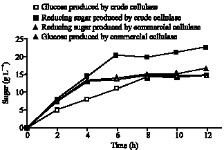Image for - Enzymatic Hydrolysis of Palm Oil Mill Effluent Solid Using Mixed Cellulases from Locally Isolated Fungi