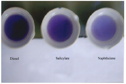 Image for - Biocatalytic Production of a Commercial Textile Dye (Indigo) from a Xenobiont