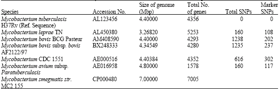 Image for - Genome Wide Single Nucleotide Polymorphism Analysis of Mycobacterium Species and Subspecies