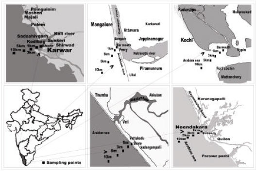 Image for - Prevalence of Autochthonous Vibrio cholerae and Role of Abiotic Environmental Factors in their Distribution along the Kerala-Karnataka Coast, India