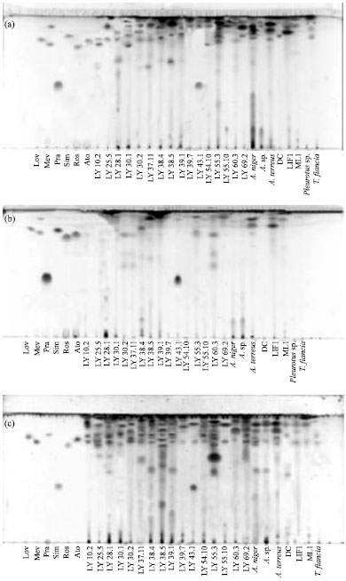 Image for - Antifungal Activity and the Potential Correlation with Statin-Producing Ability: An Optimized Screening Applied to Filamentous Fungi from Las Yungas Subtropical Rainforest