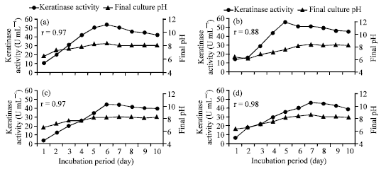 Image for - Keratinase Production and Biodegradation of Some Keratinous Wastes by Alternaria tenuissima and Aspergillus nidulans