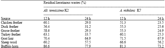 Image for - Keratinase Production and Biodegradation of Some Keratinous Wastes by Alternaria tenuissima and Aspergillus nidulans