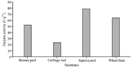 Image for - Production of α-Amylase by Rhizopus microsporus using Agricultural By-products in Solid State Fermentation