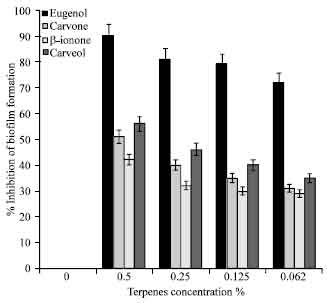 Image for - In vitro Activity of Four Common Essential Oil Components against Biofilm-producing Pseudomonas aeruginosa