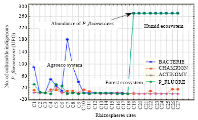 Image for - Contribution to the Ecobiological Study of the Pseudomonas fluorescens Rhizobacteria