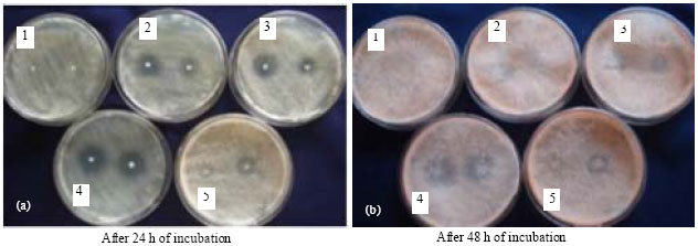 Image for - In vitro Testing of Common Disinfectants Used in Sericulture to Control the Growth of Fungi in Rearing Houses