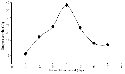 Image for - Production of α-Amylase by Rhizopus microsporus using Agricultural By-products in Solid State Fermentation
