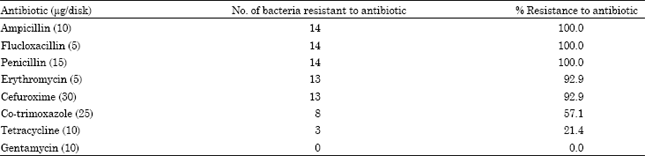 Image for - A Study of Antibiotic Susceptibility Pattern of Bacteria Isolates in Sachet Drinking Water Sold in the Cape Coast Metropolis of Ghana