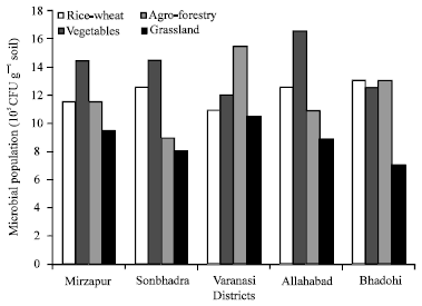 Image for - Diversity of Azotobacter and Azospirillum in Rhizosphere of Different Crop Rotations in Eastern Uttar Pradesh of India