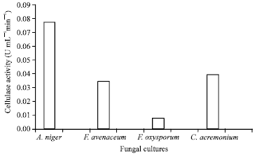 Image for - Optimization of Culture Conditions Affecting Fungal Cellulase Production