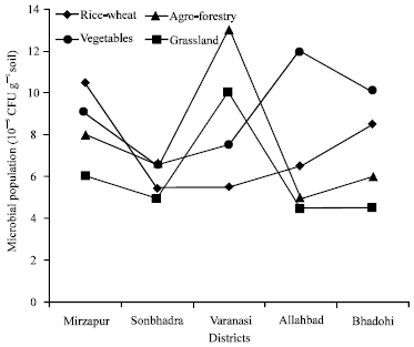 Image for - Diversity of Azotobacter and Azospirillum in Rhizosphere of Different Crop Rotations in Eastern Uttar Pradesh of India